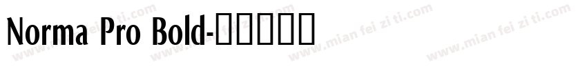 Norma Pro Bold字体转换